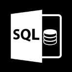 Full-Service Ad Agency Programming Languages SQL
