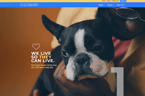 Award-Winning Websites - Innis Maggiore