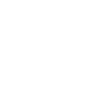 icon mobile white