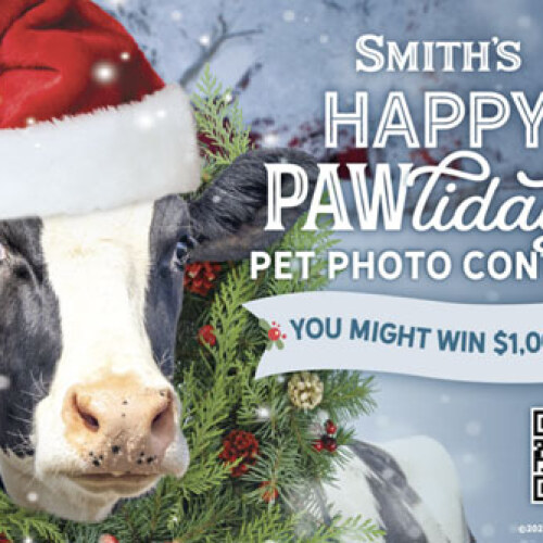 Sweepstakes Marketing Agency Pawlidays - Innis Maggiore