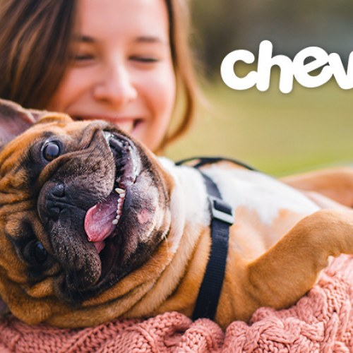 Chewy's Positioning Alignment Journey: Picturing Loyalty and Care v2