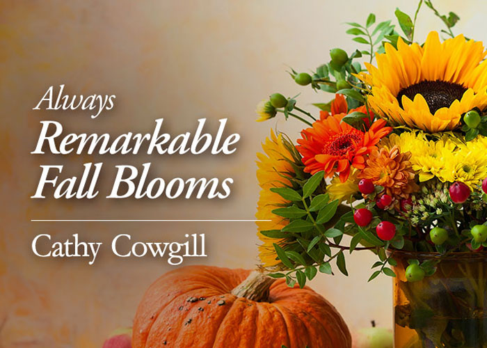 e commerce cathy cowgill innis maggiore