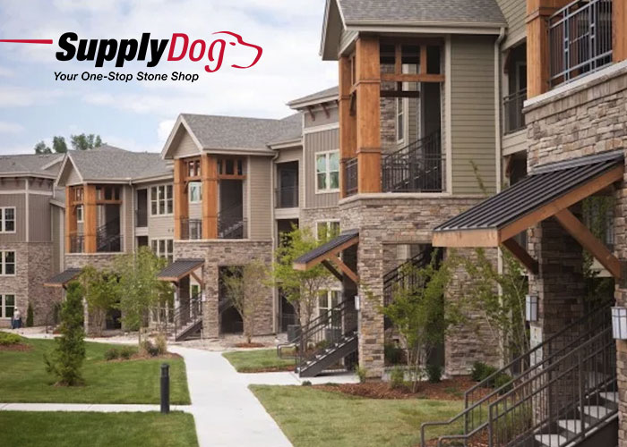 e commerce supply dog innis maggiore